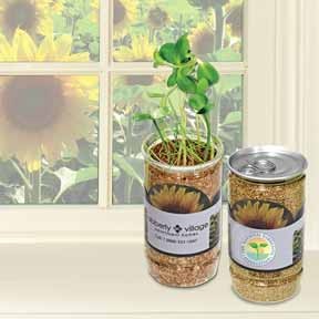 Sunflower-In-A-Can