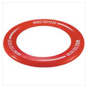 Zing Ring Flyer